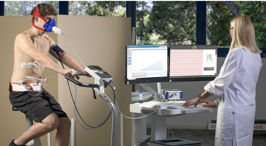 cardiopulmonaire system